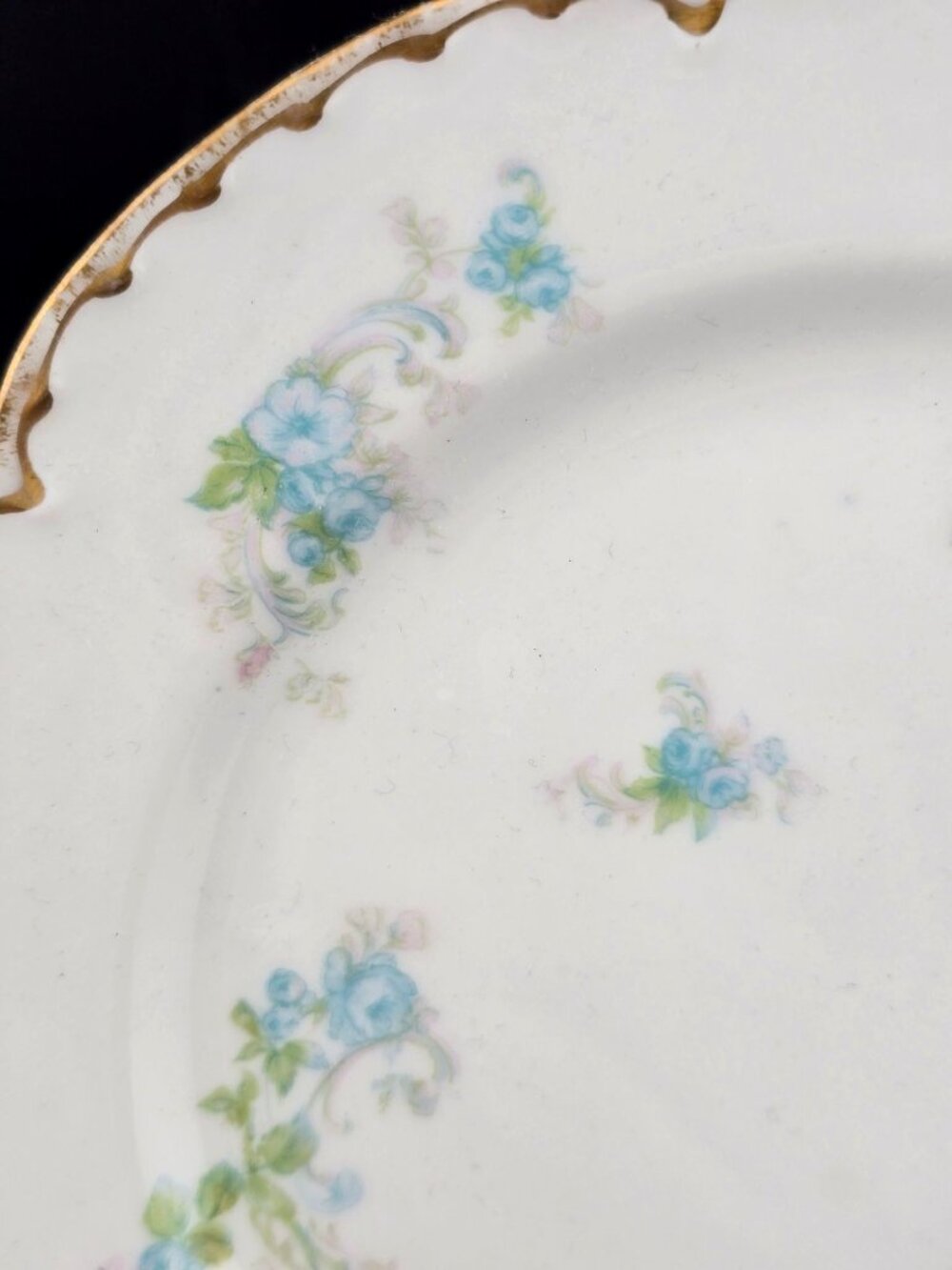 Haviland Limoges France Blue Floral Porcelain Plates With Gold Trim - Set Of 2 - Picture 13 of 16